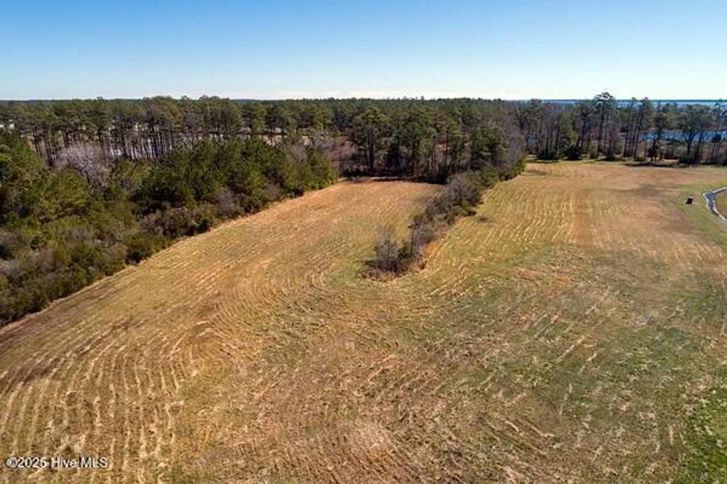 Photo of 201 Battalina Lane, Belhaven, NC 27810 (MLS # 100503736)