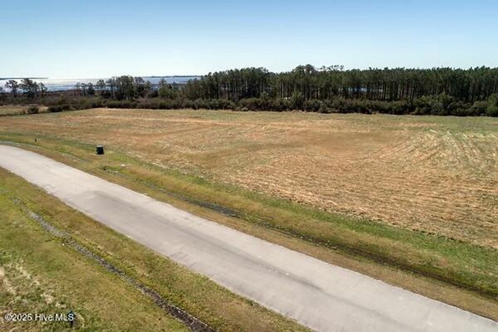 Photo of 201 Battalina Lane, Belhaven, NC 27810 (MLS # 100503736)