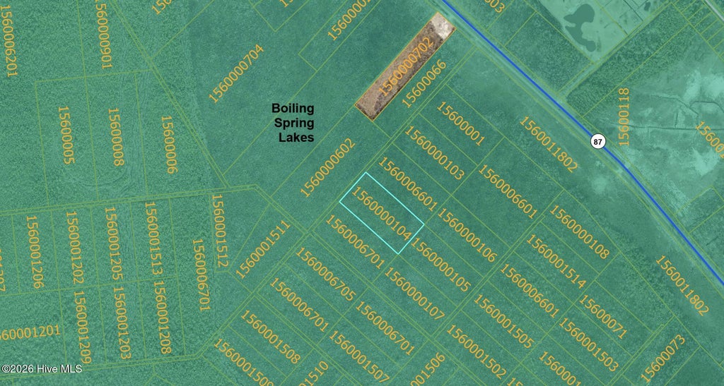 Photo of 79 Unknown, Boiling Spring Lakes, NC 28461 (MLS # 100599900)