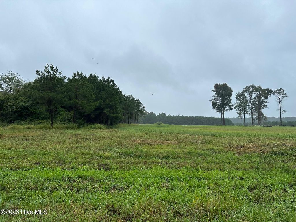 Photo of 7026 Nc Highway 55 Hwy E, New Bern, NC 28560 (MLS # 100563771)