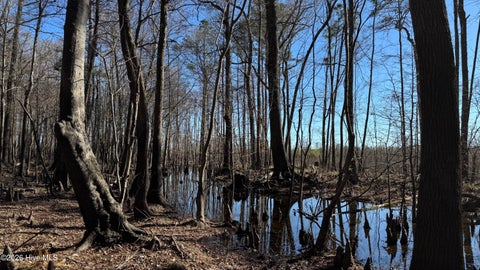 Vacant Land For Sale - CANETUCK Canetuck Road<br/> Pender County, Currie, NC 28435