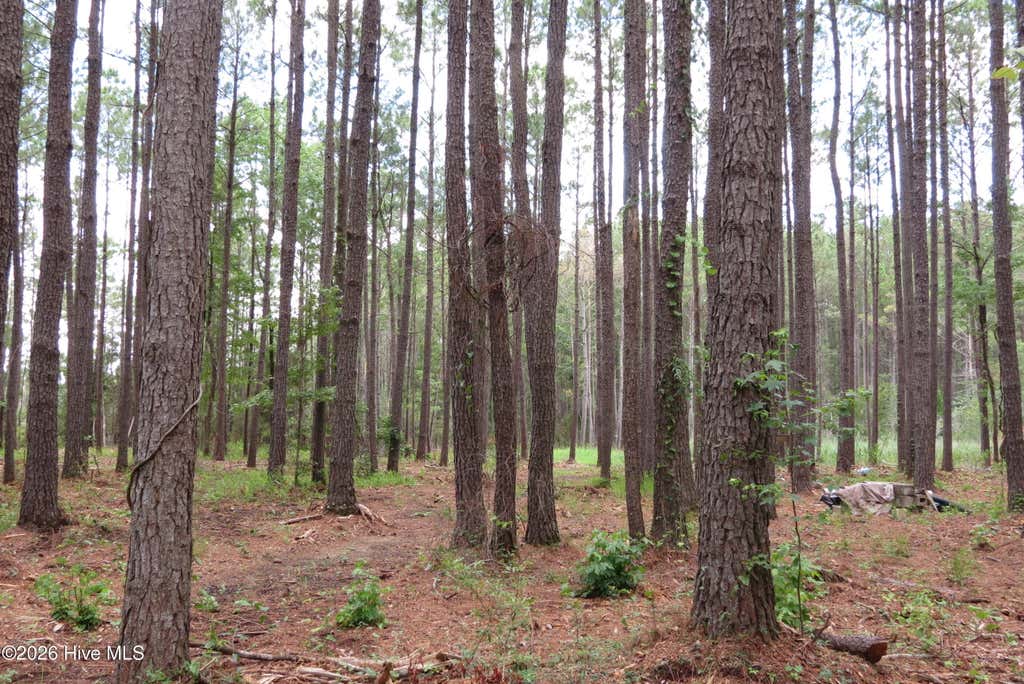 Photo of 3231 Orchard Creek Road, Oriental, NC 28571 (MLS # 100582940)