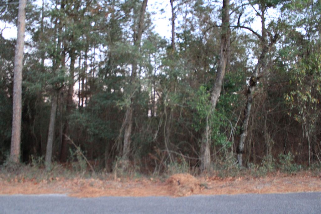 Photo of 1588 Citation Road, Hephzibah, GA 30815 (MLS # 551171)