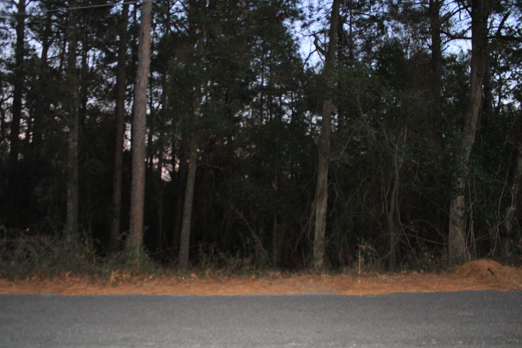 Photo of 1588 Citation Road, Hephzibah, GA 30815 (MLS # 551171)