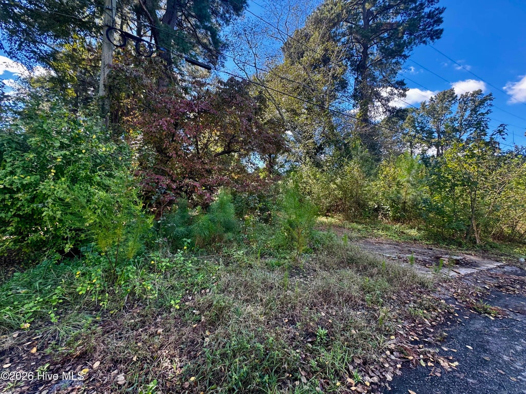 Photo of 1401 Mewborn Avenue, Kinston, NC 28501 (MLS # 100610114)