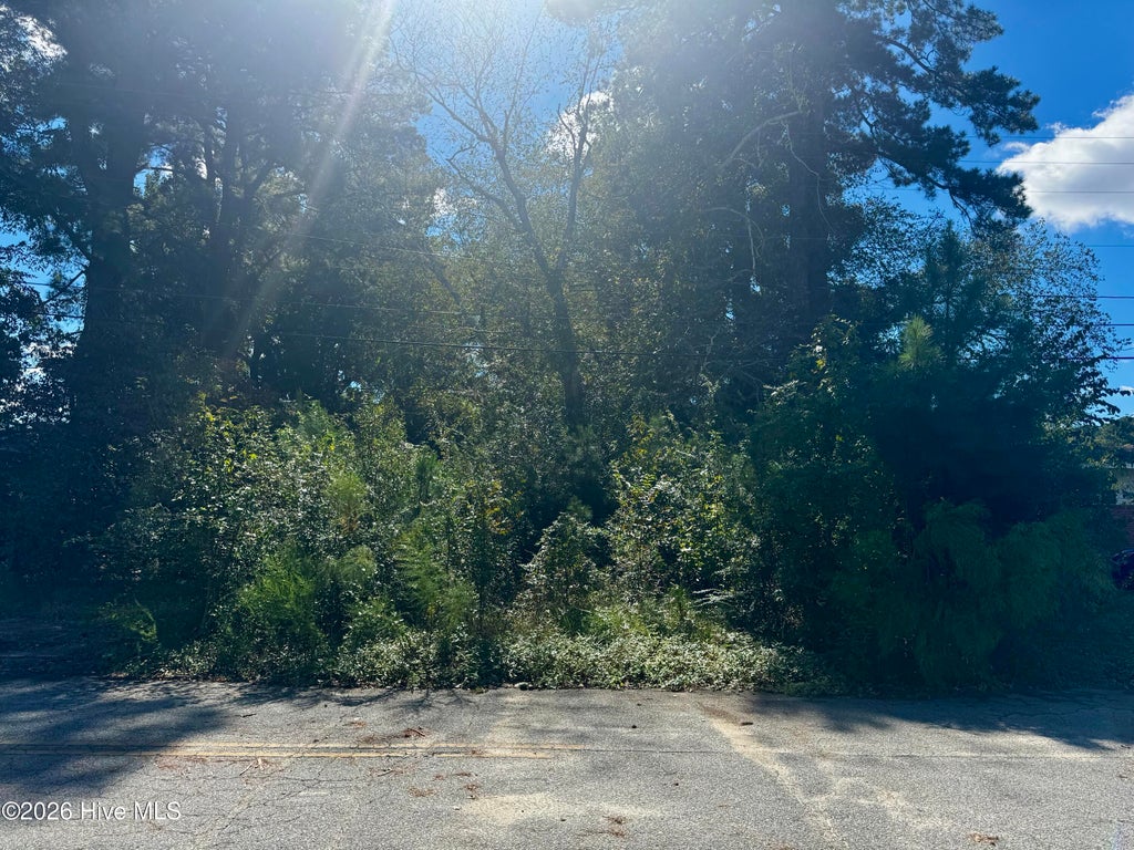 Photo of 1401 Mewborn Avenue, Kinston, NC 28501 (MLS # 100610114)