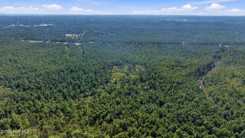 Tiny photo for 321 Plantation Road, Wilmington, NC 28411 (MLS # 100606224)