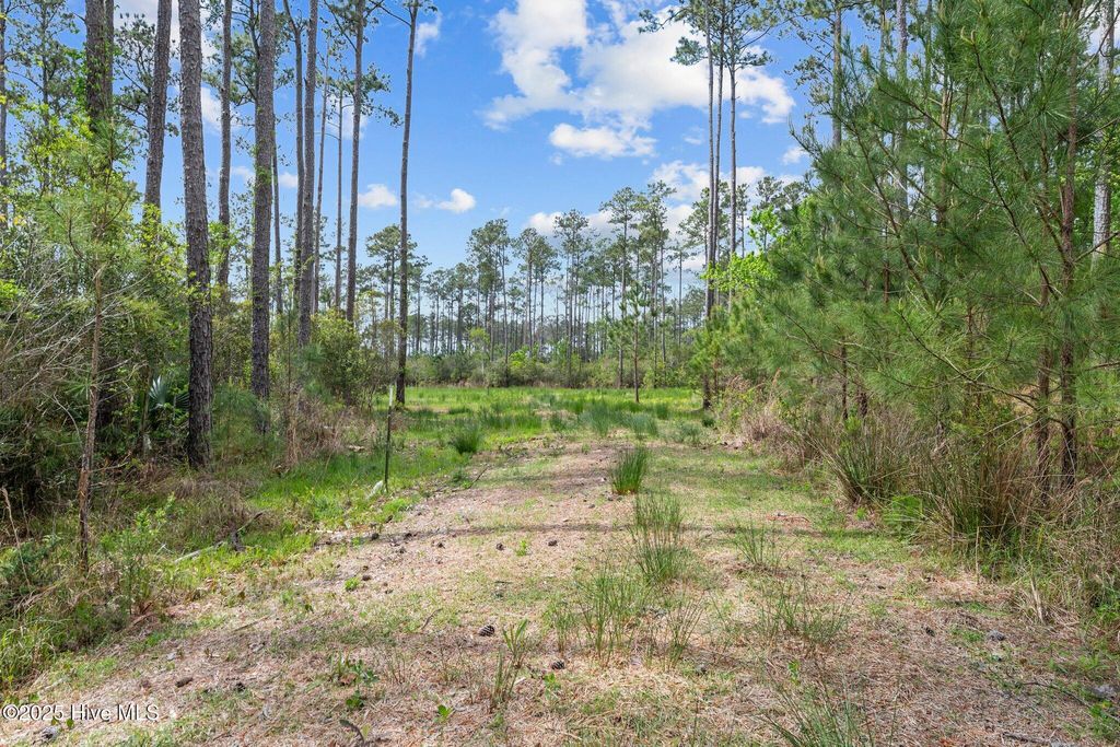 Photo of 3411 Upper Neck Road, Bayboro, NC 28515 (MLS # 100500538)