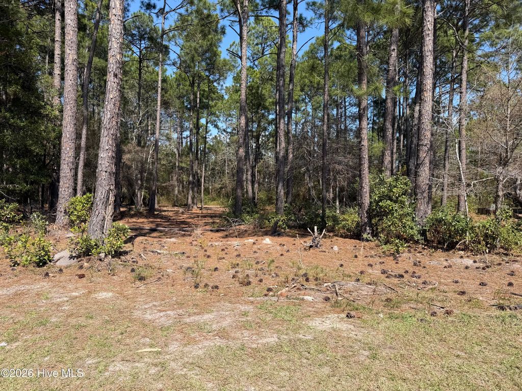 Photo of 6786 Holton Place, Ocean Isle Beach, NC 28469 (MLS # 100569970)