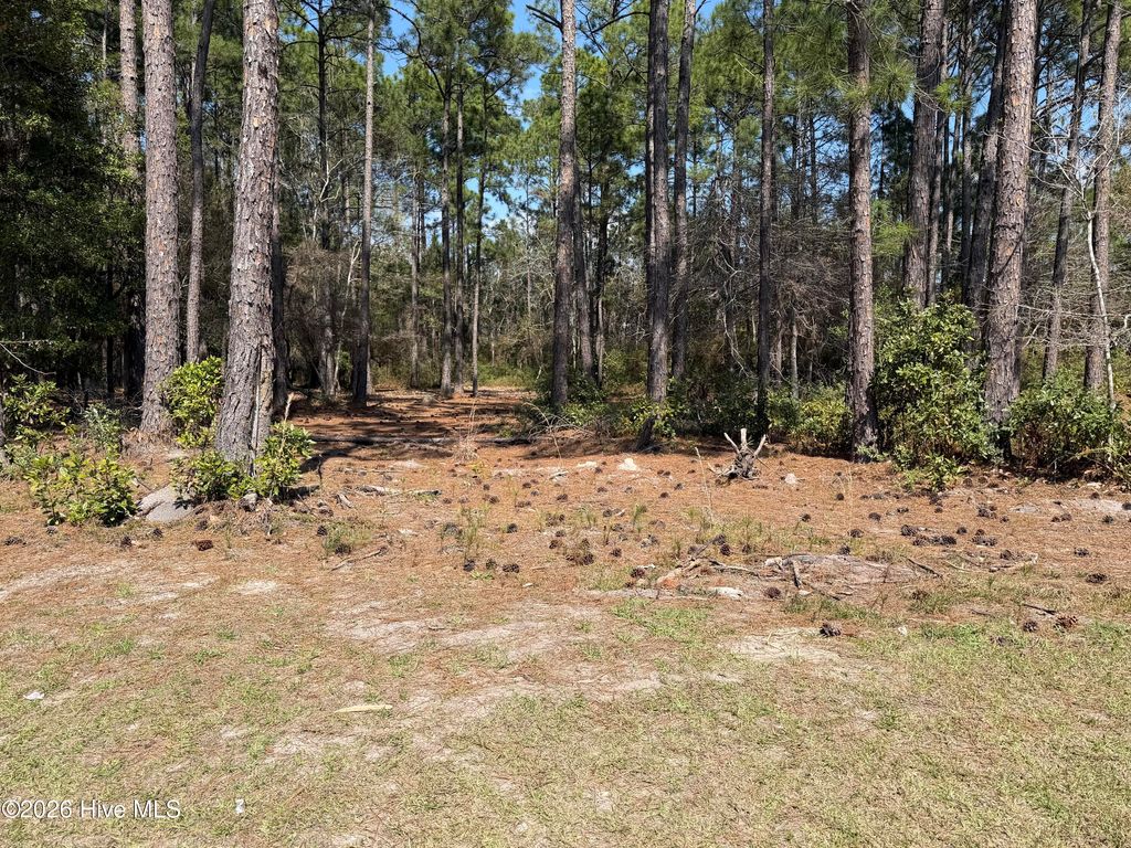 Photo of 6786 Holton Place, Ocean Isle Beach, NC 28469 (MLS # 100569970)