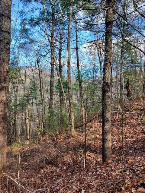 Vacant Land For Sale - 6-4 Katerina Lane<br/> Murphy, NC 28906
