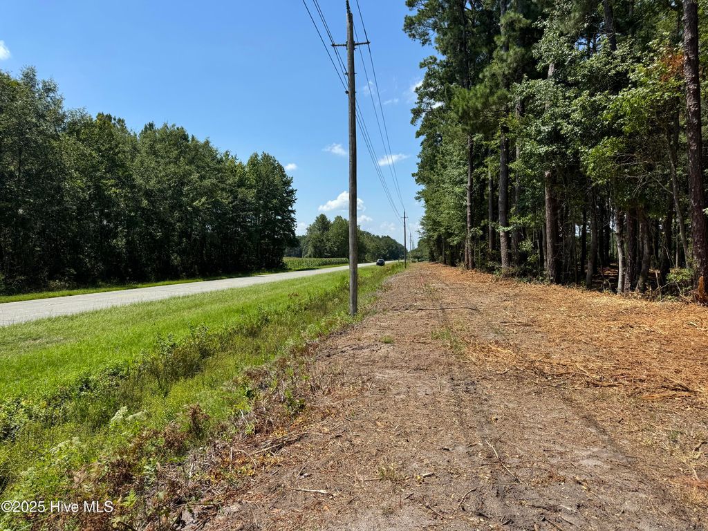 Photo of 4 Near 4102 Swamp Fox (Lot 4) Highway W, Tabor City, NC 28463 (MLS # 100575577)