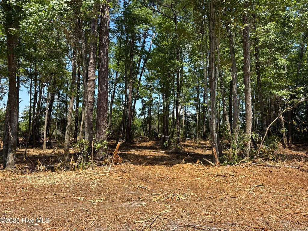 Photo of 4 Near 4102 Swamp Fox (Lot 4) Highway W, Tabor City, NC 28463 (MLS # 100575577)