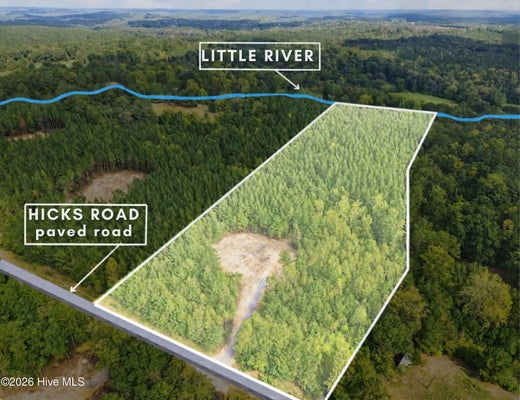 LOT 5 CAPELSIE ROAD, CANDOR, NC 27229 - Image 350da4a2022ee6285c62d87f4e7f3790/1031773846