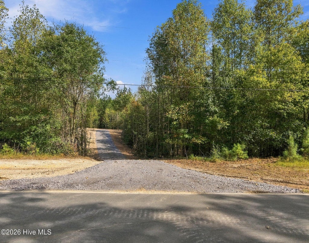 Photo of 5 Capelsie Road, Candor, NC 27229 (MLS # 100608968)