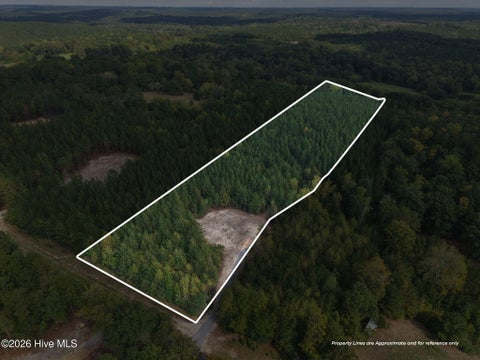 Vacant Land For Sale - LOT 5 Capelsie Road<br/> Candor, NC 27229