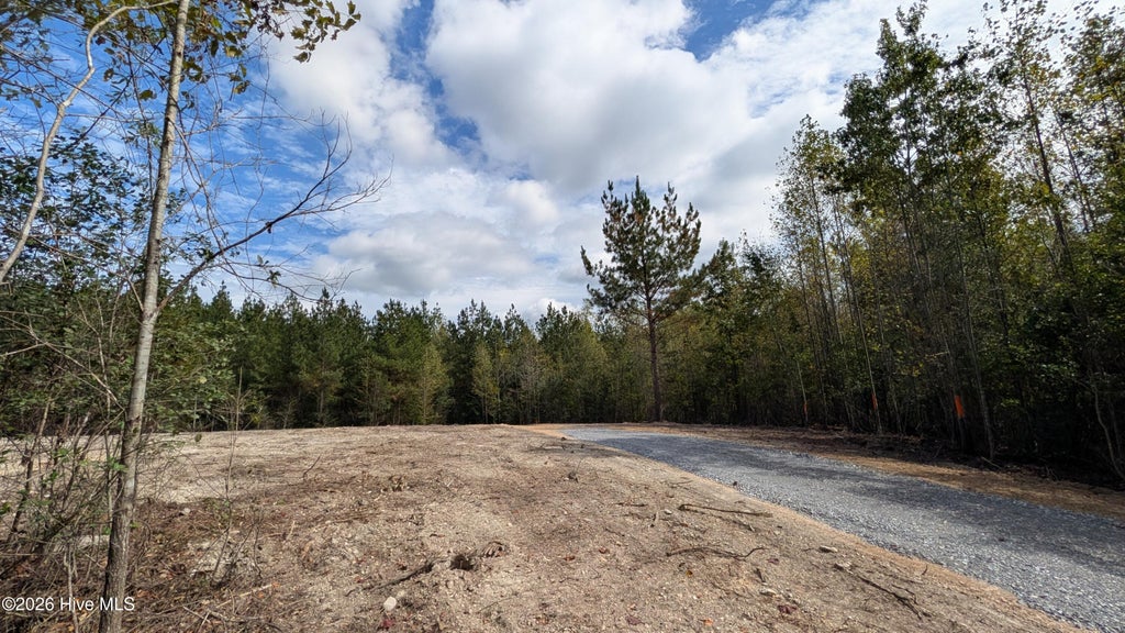 Photo of 5 Capelsie Road, Candor, NC 27229 (MLS # 100608968)