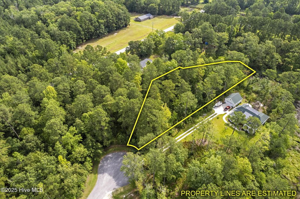 Photo of 178 Marsh Run, Oriental, NC 28571 (MLS # 100546326)
