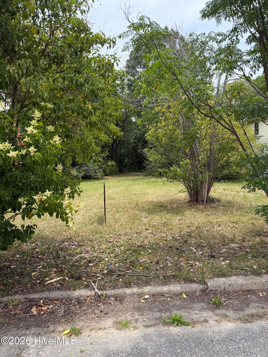 Photo of 419 Coleman Avenue, Rocky Mount, NC 27801 (MLS # 100579824)
