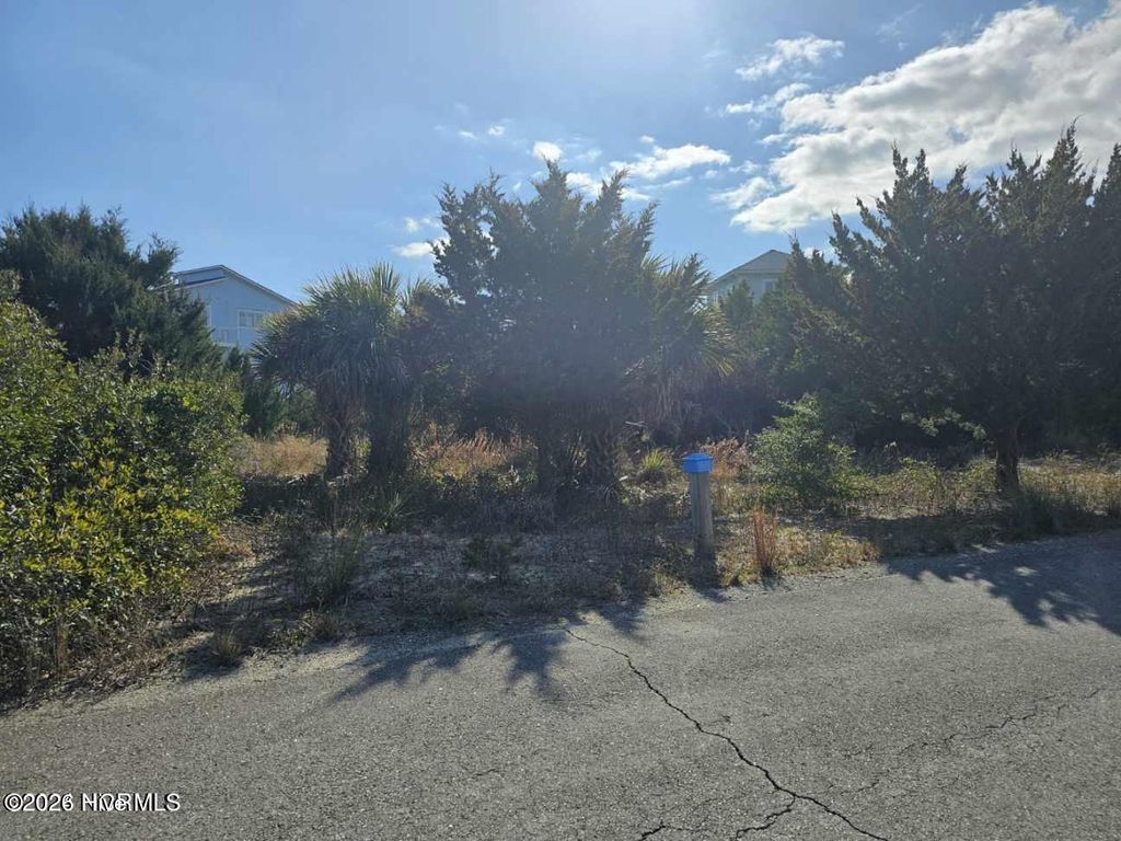 Photo of 22 Black Skimmer Trail, Bald Head Island, NC 28461 (MLS # 100557633)