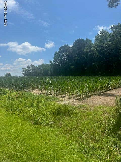 Photo of 721 Joe Piver Road, Chadbourn, NC 28431 (MLS # 100581070)