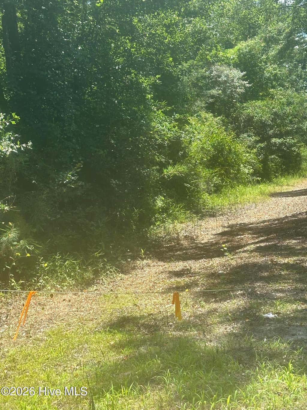 Photo of 721 Joe Piver Road, Chadbourn, NC 28431 (MLS # 100581070)