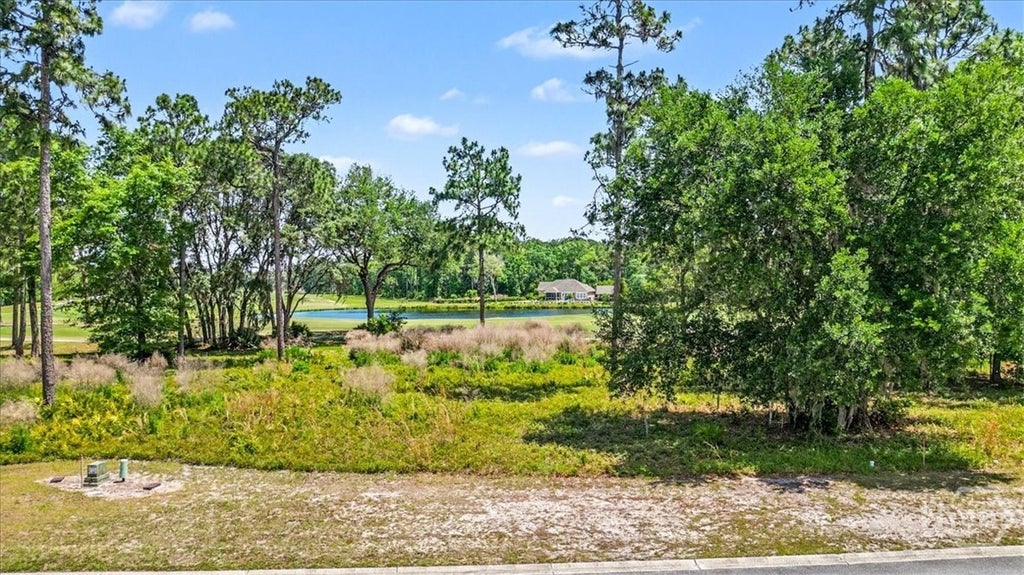 Photo of 24 Blue Heron, Waverly, GA 31565 (MLS # SA366839)