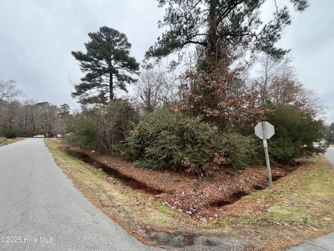 Vacant Land For Sale - 307 Pineview Drive<br/> Edenton, NC 27932