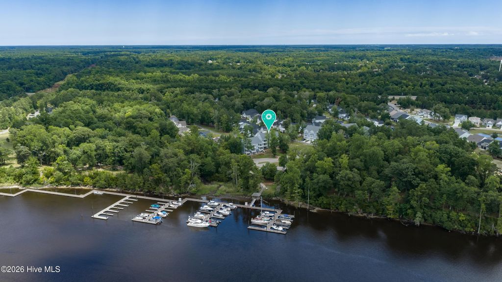 Photo of 237 Sabal Pond Way, Castle Hayne, NC 28429 (MLS # 100585608)
