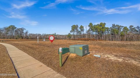 Tiny photo for 31 Dragonfly Lane, Hampstead, NC 28443 (MLS # 100549968)