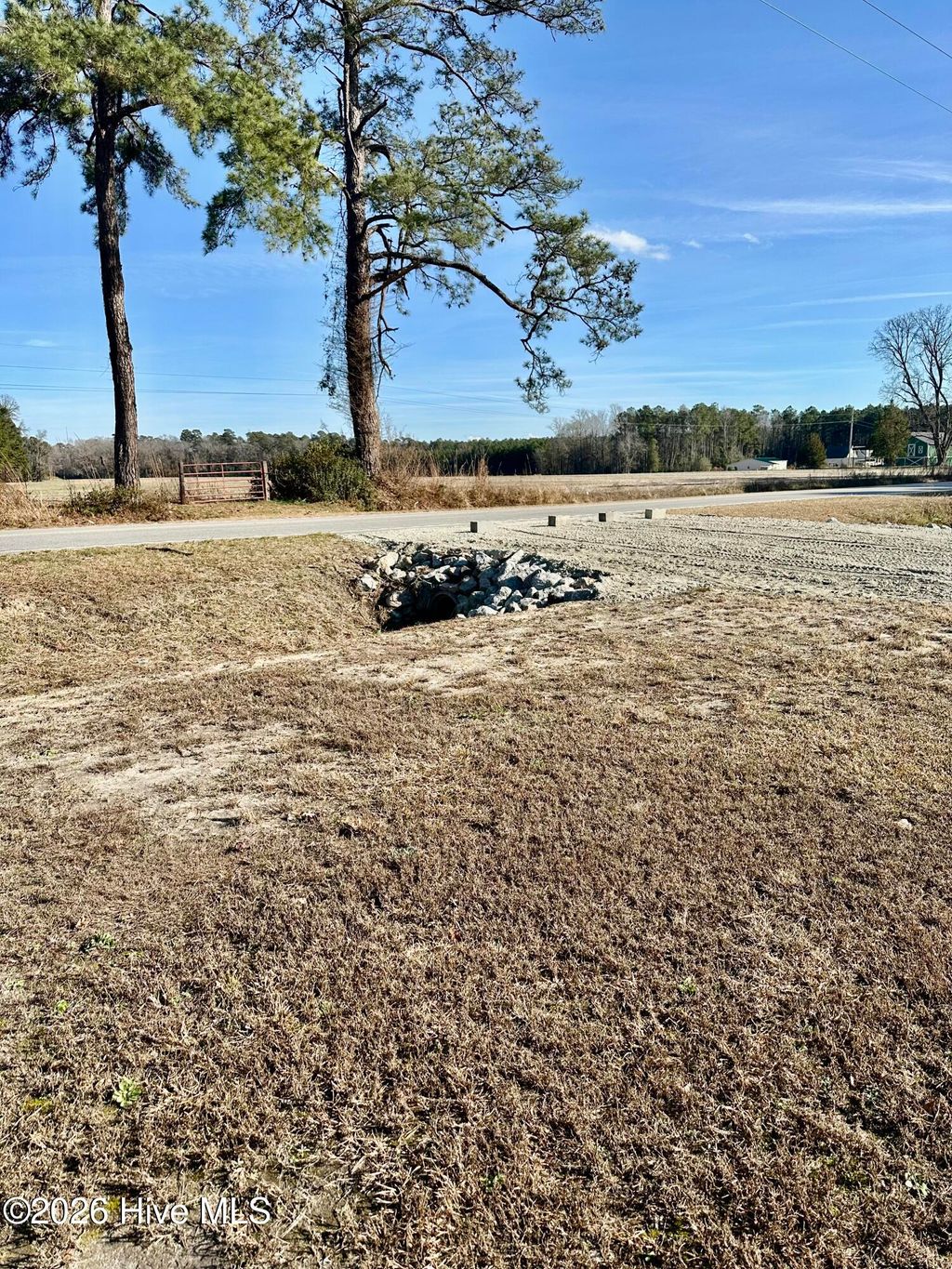 Photo of 3678 New Britton Highway E, Whiteville, NC 28472 (MLS # 100547960)