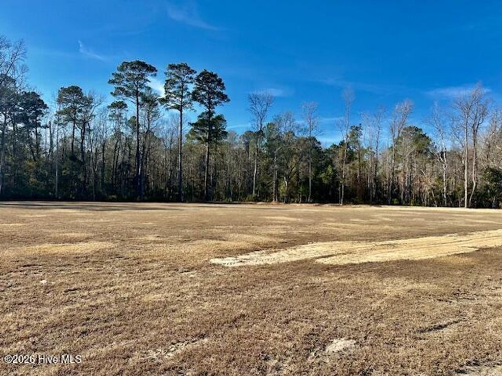 Photo of 3678 New Britton Highway E, Whiteville, NC 28472 (MLS # 100547960)