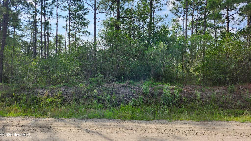 Photo of 453 Queens Road, Southport, NC 28461 (MLS # 100593174)