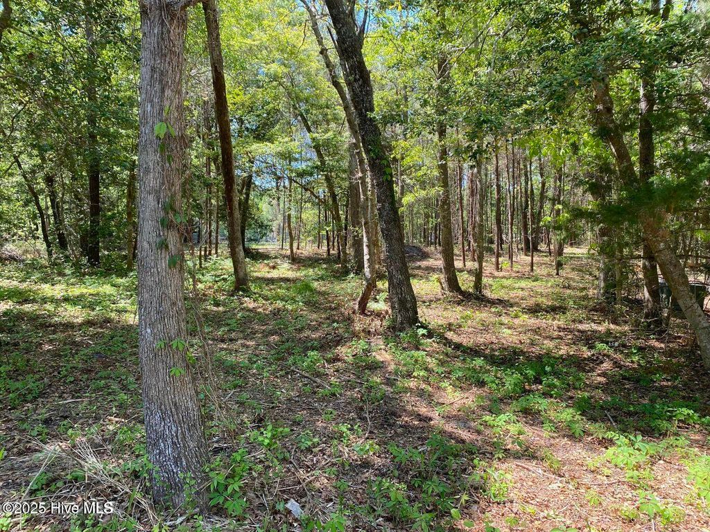 Photo of 1355 Sweetwater Lane SW, Supply, NC 28462 (MLS # 100520473)