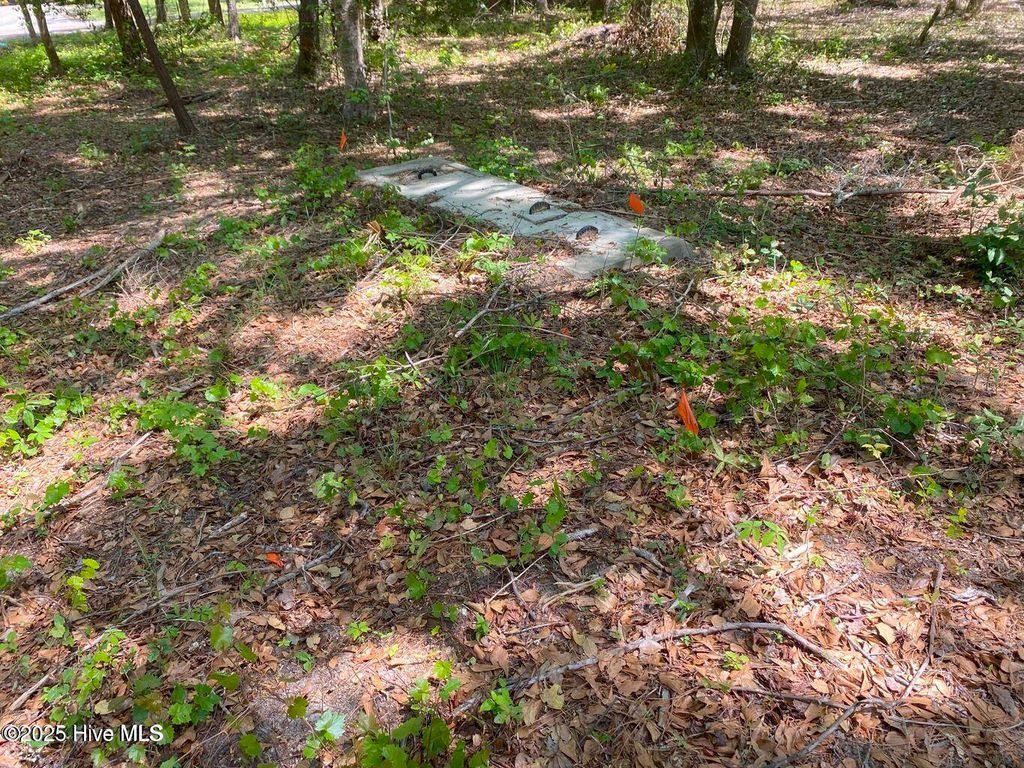 Photo of 1355 Sweetwater Lane SW, Supply, NC 28462 (MLS # 100520473)