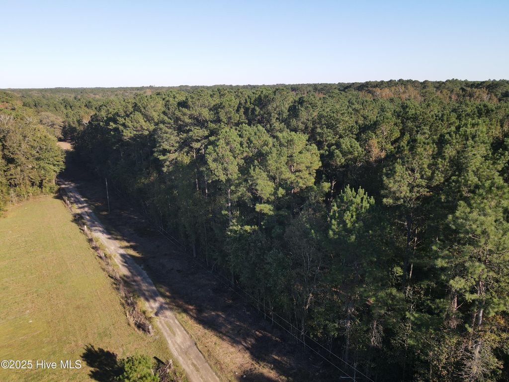 Photo of 282 James E Moore Road, Currie, NC 28435 (MLS # 100537756)