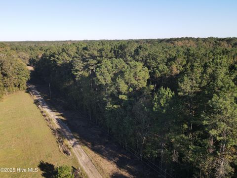 Photo of 282 James E Moore Road, Currie, NC 28435 (MLS # 100537756)