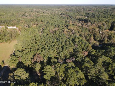 Tiny photo for 282 James E Moore Road, Currie, NC 28435 (MLS # 100537756)