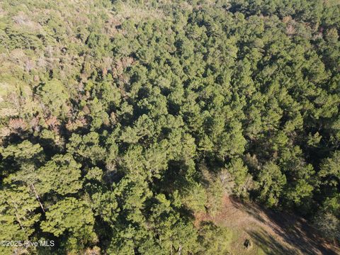 Tiny photo for 282 James E Moore Road, Currie, NC 28435 (MLS # 100537756)