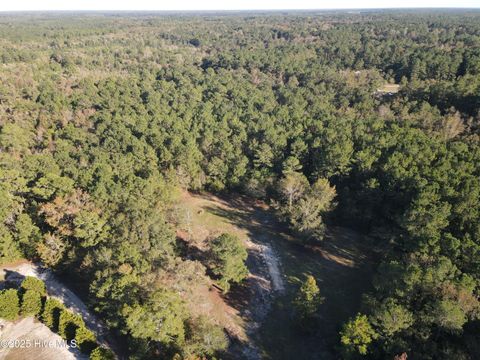 Tiny photo for 282 James E Moore Road, Currie, NC 28435 (MLS # 100537756)