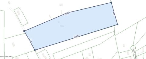 Tiny photo for 282 James E Moore Road, Currie, NC 28435 (MLS # 100537756)