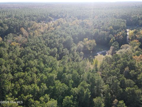 Tiny photo for 282 James E Moore Road, Currie, NC 28435 (MLS # 100537756)