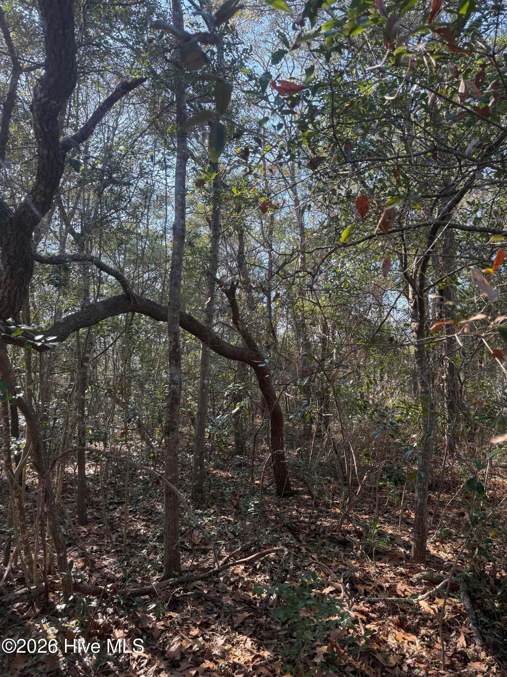 Photo of 108 NW 3rd Street, Oak Island, NC 28465 (MLS # 100553888)