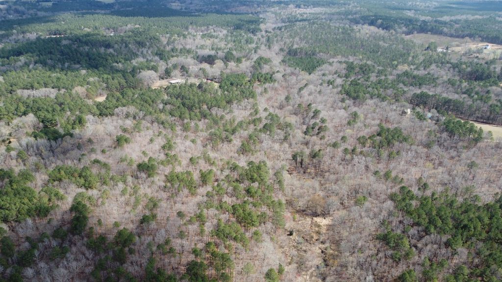 Photo of 272 John Lewis Drive, Lincolnton, GA 30817 (MLS # 553448)