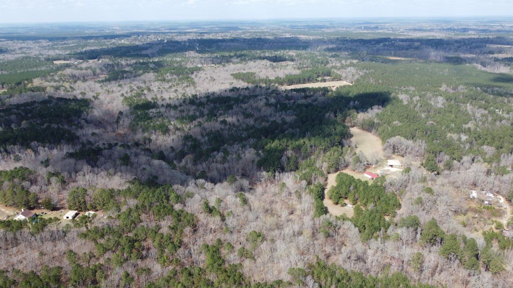 Photo of 272 John Lewis Drive, Lincolnton, GA 30817 (MLS # 553448)