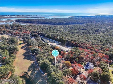 Tiny photo for 3060 Purple Finch Lane SW, Supply, NC 28462 (MLS # 100544384)