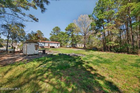 Tiny photo for 171 Big Four Road, Currie, NC 28435 (MLS # 100562069)