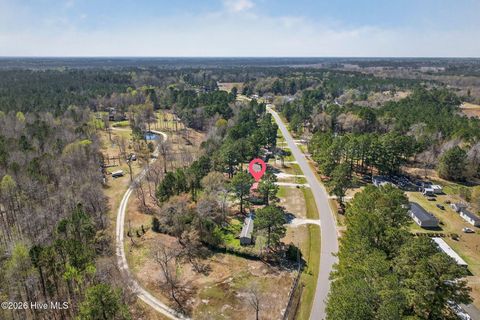 Tiny photo for 171 Big Four Road, Currie, NC 28435 (MLS # 100562069)