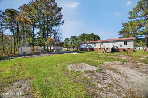 Tiny photo for 171 Big Four Road, Currie, NC 28435 (MLS # 100562069)