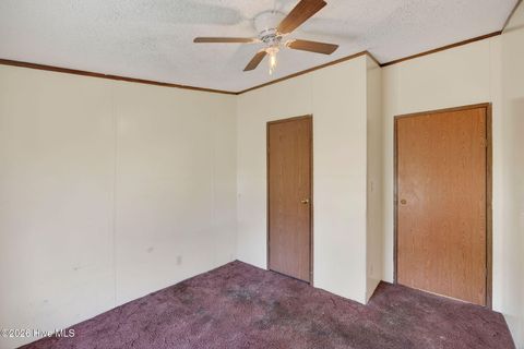 Tiny photo for 171 Big Four Road, Currie, NC 28435 (MLS # 100562069)